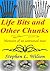 Life Bits and Other Chunks:...