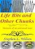 Life Bits and Other Chunks: Memoirs of an Untrained Man
