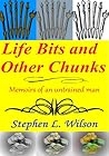 Life Bits and Other Chunks by Stephen L. Wilson