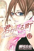 君のいる町 12 [Kimi no Iru Machi 12]