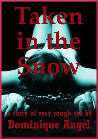 Taken in the Snow: Jamie's Rough First Anal Sex Threesome (The Sex Gets Rougher, #3)