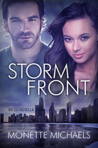 Storm Front (Security Specialists International, #2.5)
