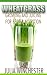 Wheatgrass: Growing and Juicing for Better Nutrition