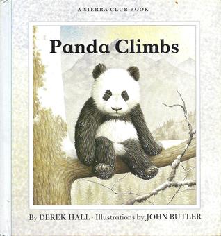 Panda climbs