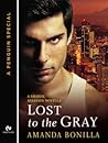 Lost to the Gray by Amanda Bonilla