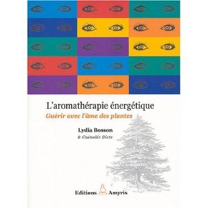L'aromathérapie énergétique (Paperback)