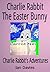 Charlie Rabbit: The Easter Bunny