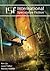 ISF - International Speculative Fiction # 2