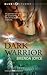 Dark Warrior (Masters of Time, #3)