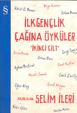 İlkgençlik Çağına Öyküler 2 (Paperback)