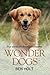 Wonder Dogs