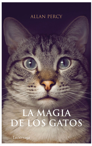 La magia de los gatos (Paperback)