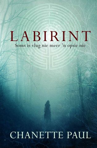 Labirint (Paperback)