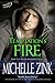 Temptation's Fire (The Shad...