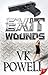 Exit Wounds