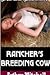 Rancher's Breeding Cow (Bred and Blackmailed)
