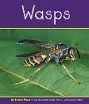 Wasps