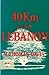 40 Km Into Lebanon: Israel's 1982 Invasion