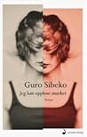 Jeg kan oppløse mørket by Guro Sibeko