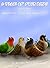 A Tale of Four Birds and Their Quest for Food and Happiness