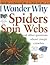 I Wonder Why Spiders Spin Webs: And Other Questions about Creepy Crawlies (I Wonder Why (Pb))