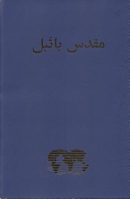 Urdu Bible Easy- To- Read Version: B-URD-06645 (Urdu Edition)