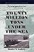 Twenty Million Tons Under the Sea: The Daring Capture of the U-505