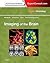 Imaging of the Brain: Expert Radiology Series