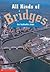 All Kinds of Bridges