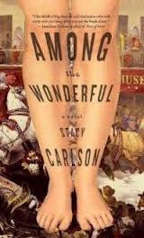 Among the Wonderful (Hardcover)