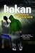 Þokan
