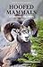 Hoofed Mammals of British Columbia by David Shackleton
