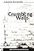 Crumbling Walls by Laura Strandt