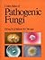 Color atlas of pathogenic fungi