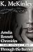 Through the Barrier (The Amelia Bennett Chronicles, #2)