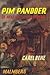 Pim Pandoer: De heks van 's Heerenberg (Pim Pandoer, #7)
