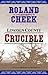Lincoln County Crucible (Valediction for Revenge ; 3)