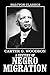 A Century of Negro Migratio...