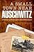 A Small Town Near Auschwitz by Mary Fulbrook