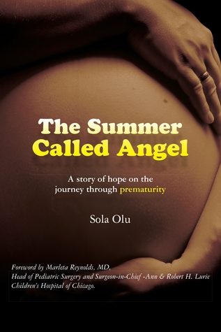 The Summer Called Angel: A story of hope on the journey through prematurity
