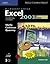 Microsoft Office Excel 2003: Introductory Concepts and Techniques, CourseCard Edition (Shelly Cashman)