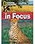 Cheetahs in Focus: Footprin...