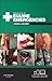 Handbook of Equine Emergencies by Debra Catherine Archer