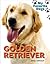 Golden Retriever by Jinny Johnson