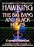 Hawking on the Big Bang and...