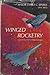 Winged Rocketry