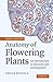 Anatomy of Flowering Plants...