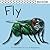 Fly