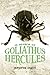 In Search of Goliathus Hercules by Jennifer Angus