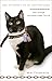 The Tuxedo Cat of Montevideo by Miri Thompson